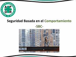 Seguridad Basada en el Comportamiento o Conducta SBC