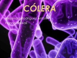 cólera - cmccurso1011