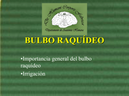 BULBO RAQUIDEO
