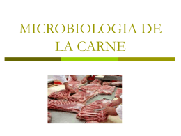 Microbiología de la carne y sus productos.