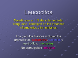 Leucocitos - Blog 5 Semestre UCIMED I