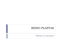 REINO PLANTAE - Colegio Nuestra Señora