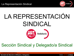 LA REPRESENTACIÓN SINDICAL Sección Sindical y