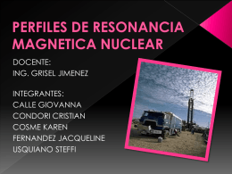 REGISTRO DE RESONANCIA MAGNETICA