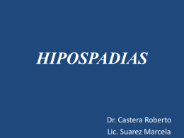 HIPOSPADIA - Sociedad Argentina de Urología