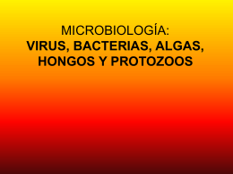 MICROBIOLOGÍA: VIRUS, BACTERIAS, ALGAS, HONGOS Y