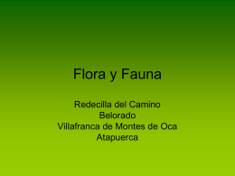 Flora y Fauna