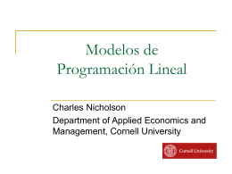 Linear Programming - US - Mexico TIES Initiative |