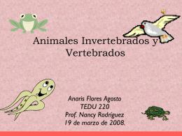 Animales Invertebrados y Vertebrados