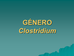 GÉNERO Clostridium