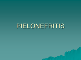 PIELONEFRITIS - Enfermeriavespertina`s Blog