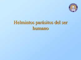 Helmintos parásitos del ser humano