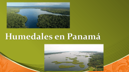 Humedales en Panamá
