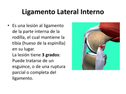 Ligamento Lateral Interno