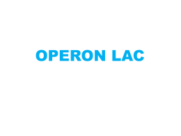OPERON LAC - Bqexperimental`s Blog | Bioquímica