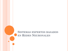 Sistemas expertos basados en Redes Neuronales