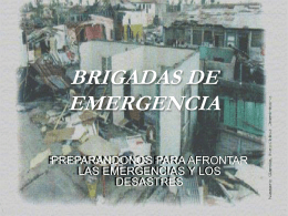 BRIGADAS DE EMERGENCIA