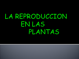 Reproducción y anatomía vegetal