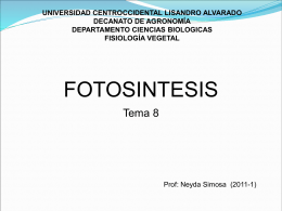 FOTOSINTESIS - Mis Clases fisiologia vegetal