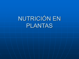 NUTRICIÓN EN PLANTAS