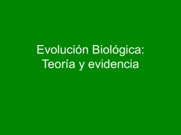 Evolución Biológica: Teoría y evidencia