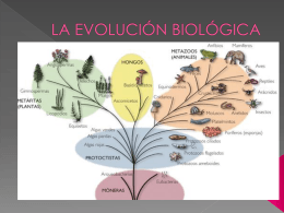 LA EVOLUCIÓN BIOLÓGICA