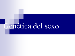 Genética_del_sexo 09