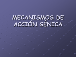 MECANISMOS DE ACCIÓN GÉNICA