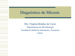 Diagnóstico de Micosis - Avindustrias Guatemala