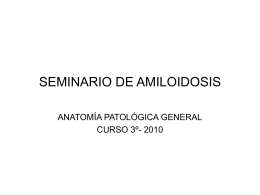 SEMINARIO DE AMILOIDOSIS