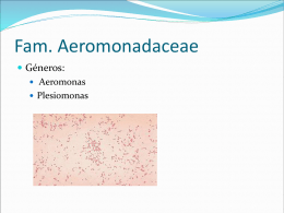 Fam. Aeromonadaceae
