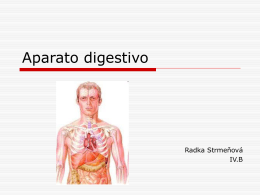 Aparato digestivo - BIOLOGÍA, QUÍMICA y