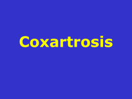 Coxartrosis - lerat