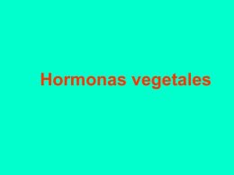 Hormonas vegetales - UPCH