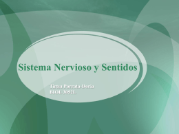 Sistema Nervioso y Sentidos - Recinto Universitario de