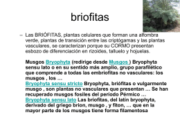 briofitas - Ciencias de los alimentos