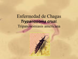 Enfermedad de Chagas Trypanosoma cruzi. …