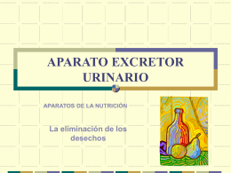 APARATO EXCRETOR URINARIO