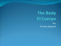 The Body El Cuerpo