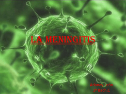 La Meningitis