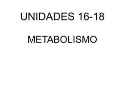 BLOQUE3_METABOLISMO_ENZIMAS - cytisur