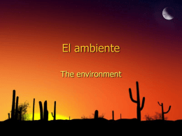 El ambiente