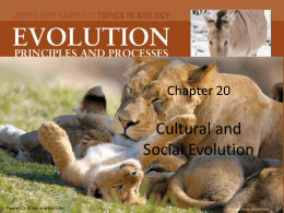 Chapter 20 Cultural and Social Evolution