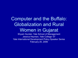 Computer as a Buffalo: Systemic Consequences of