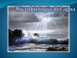 MICROBIOLOGIA DEL AGUA