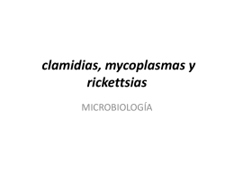 clamidias, mycoplasmas y rickettsias