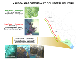 Diapositiva 1 - Instituto del Mar del Per&#250