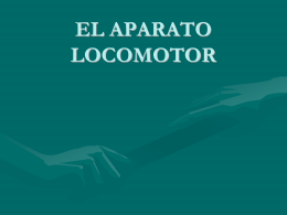 EL APARATO LOCOMOTOR