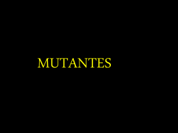 -Mutantes