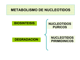 METABOLISMO DE NUCLEOTIDOS